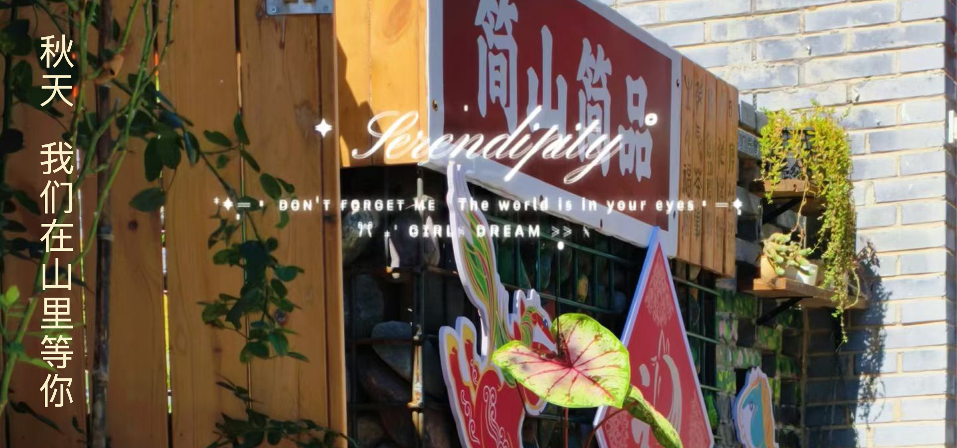 最新活动