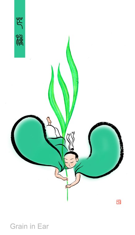 芒种